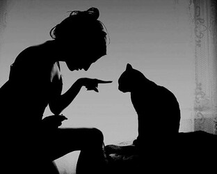 МаргоРита или игра в любовь