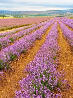 Немного позитива)