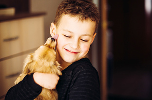 Хвостатые истории