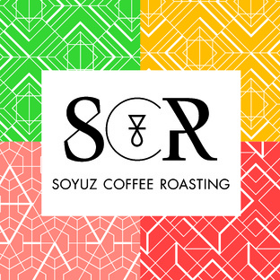 Моносорта фильтр SCR