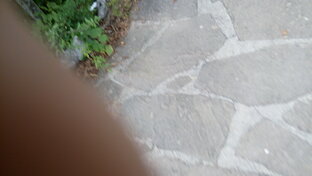 Жизнь в  СССР и России