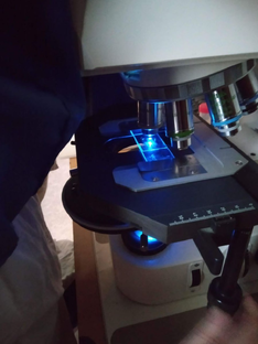 В лаборатории