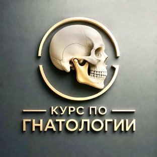 Курс по гнатологии 