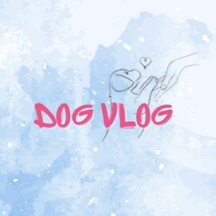 DOG VLOG 