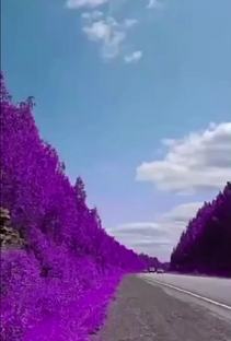 Удивительная природа!