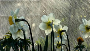 Немного о любви. 