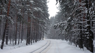 город Щучинск, Боровое