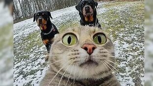 Интересное видео 