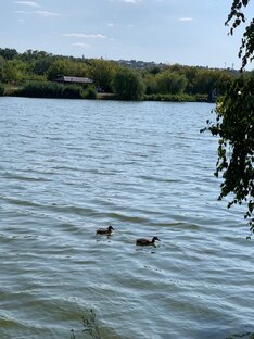 Моя маленькая поэзия 