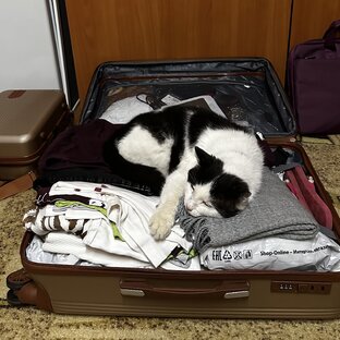 Заметки о разном