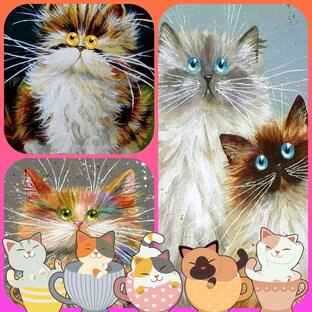 Любимые питомцы 