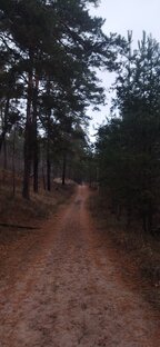 БФ Проекты и идеи г.Тольятти