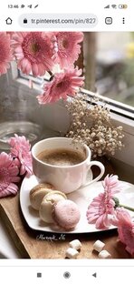 Кофемансмотриткино