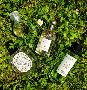 Зеленушки 🍃