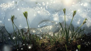 А ВЫ ЗНАЕТЕ...?