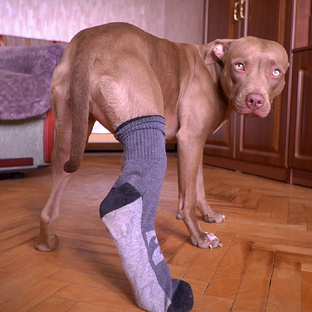 Подборка