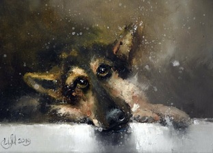 Собачья жизнь!