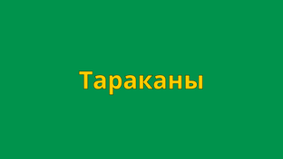 Как избавиться от тараканов