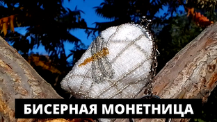 бисерные сумки, кошельки