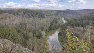 Новосибирская область