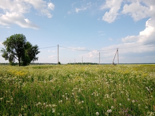 Мои размышления о жизни 
