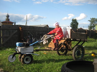 ЛПХ в сельской местности