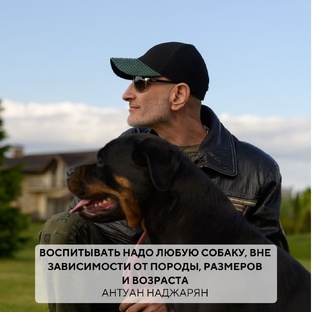 Советы по воспитанию собак