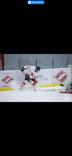 Элементы хоккея