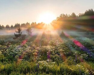 - Анекдоты и Афоризмы?!.