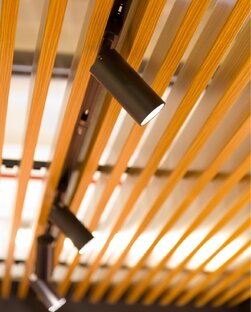 Трековые системы