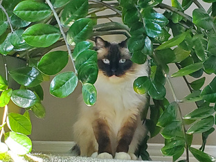 О людях и странах