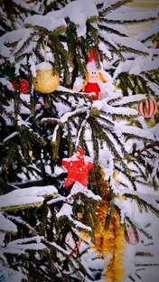 Жизнь вне профессии