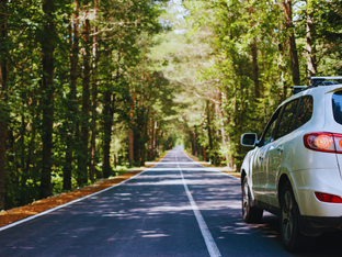 Маршруты выходного дня