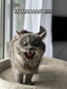 Классические Аналоговые Хорроры