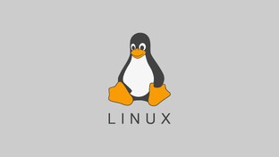 ПРО linux