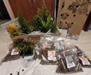 Что? Где? Почем?