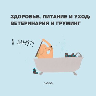 Ухоженный и здоровый хвостик