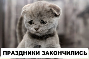 Какой сегодня праздник и что произошло в этот день