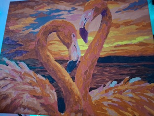 Наши прогулки