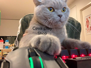 Ceva play Shop