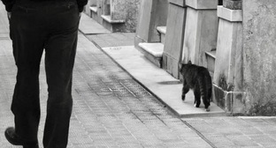 Коучинговые практики