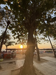 Тай, Паттайя 2025-2026