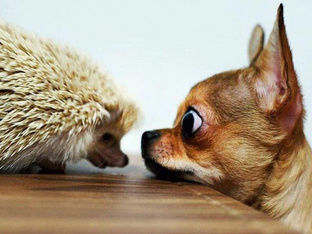 Фотоподборки