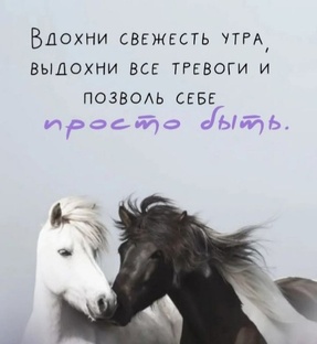  Из жизни женщины...