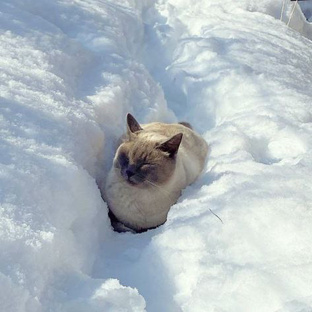 Все лучше у нас!🥰