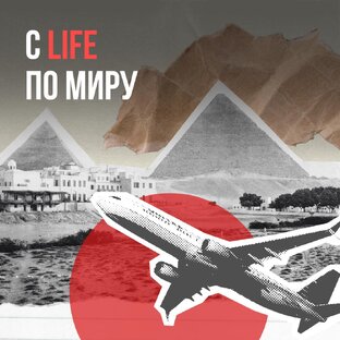 Проект "Новый мир"