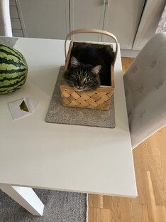 Неслучайные случайные встречи 