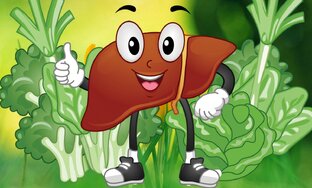 Здоровье печени