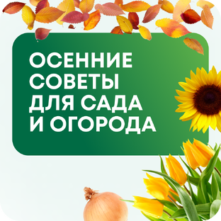 Что делать осень? Спасение для ваших растений