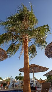 Отдых в Египте